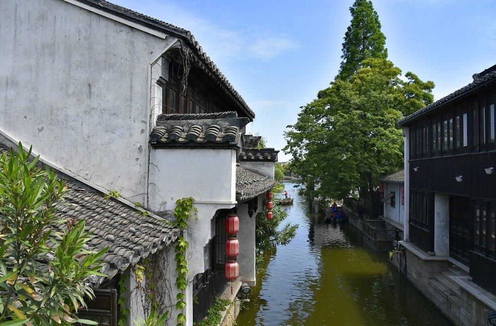 解锁吃什么能够提高免疫力???分享与交流的世界